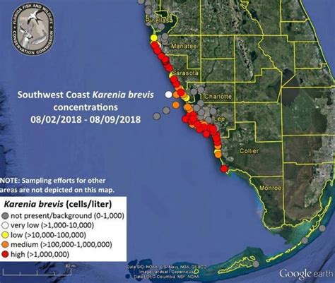 Red tide forecast naples. Things To Know About Red tide forecast naples. 